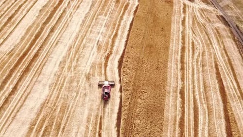 A Large Field of Ripe Wheat Aerial View