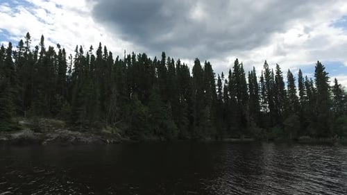 Lake shore with trees