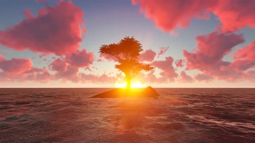 Trees grow in the middle of the sea during the afternoon