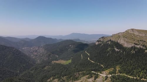 Bosque de montaña