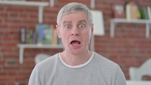 Smiling Adult Gray Haired Man Close Up