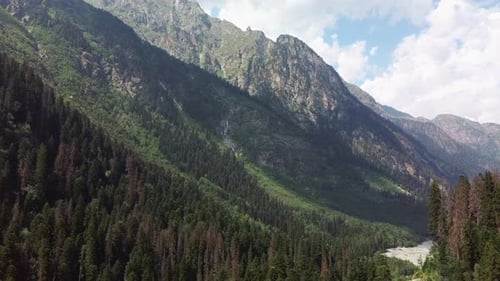 Mountain Ridge Covered with Forest Under Blue Sky