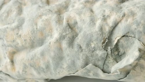Contaminated phyllo dough with hyphae fungus 4K 2160p 30fps UltraHD panning footage - Spreding o