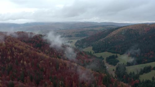 Beautiful aerial flight over valley between forest hills with colorful autumn foliage