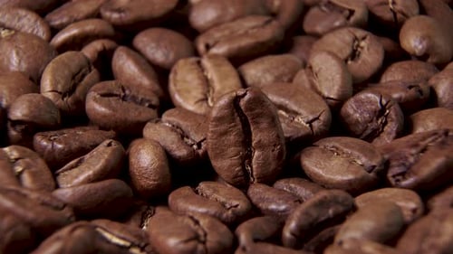 Roasted Coffee Beans Macro Shot
