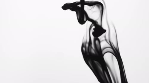Black Ink Plumes Flowing on White Background