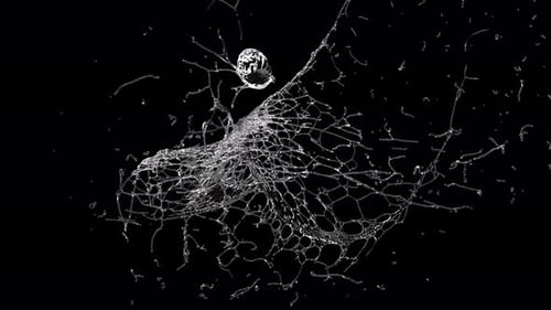 Realistic Water Splash Element Transition Animation