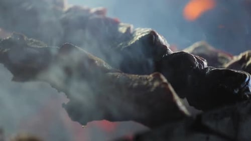 Food Cooking Closeup. Meat On Grill At Barbecue Restaurant