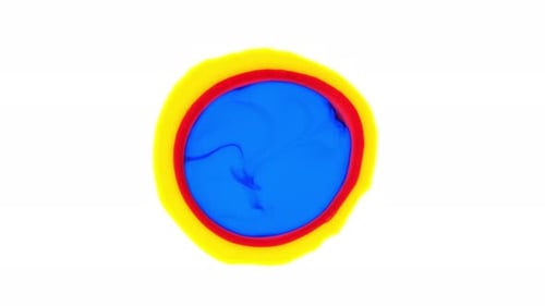 Abstract Circle with Blue, Red, and Yellow Colors
