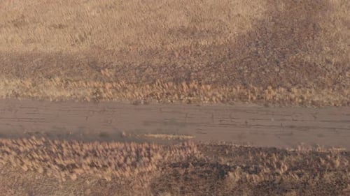 AERIAL shot showing the road surface of an old abandoned race track