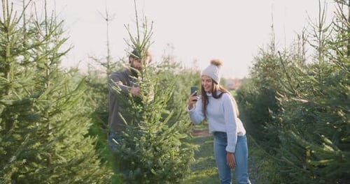 Young Brunette in Hat Photographing Green fir Tree which She with Her Bearded Husband