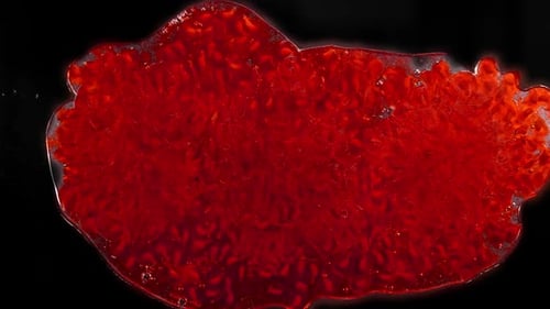 Close Up of Raspberries Splashing on Black Background