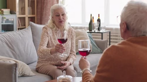 Elderly Couple Toasting with Red Wine in Home