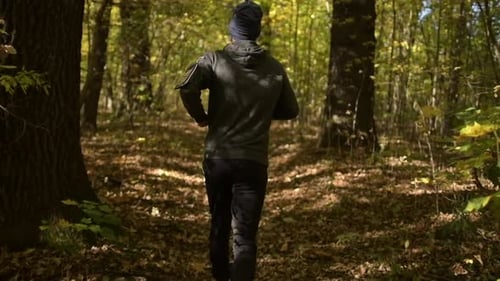 Man Jogging in an Autumnal Forest on Sunny Day