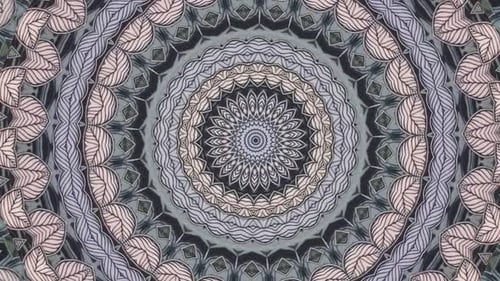 Animated Decorative Kaleidoscope Pattern with Botanical Motifs