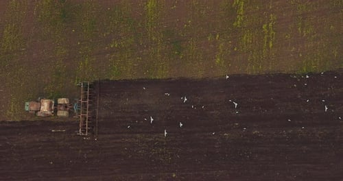 Farmer is Working on Field in Sowing Season Tractor with Plow View From Drone Prores