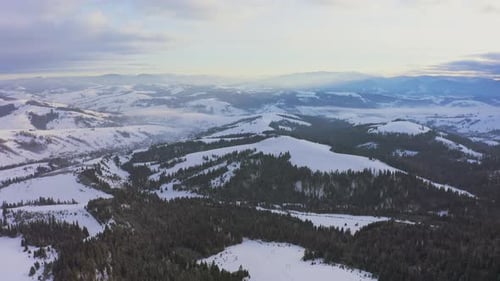 High Snowy Mountain Covered with Evergreen Fir Trees on a Sunny Cold Day