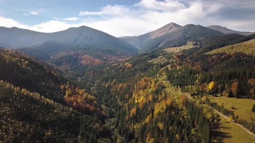 Aerial view of autumn mountain landscape with evergreen pine trees and yellow fall forest with