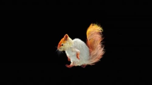 Animated White Squirrel with Golden Glowing Fur