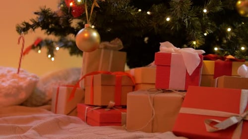 Presents under Decorated Christmas Tree