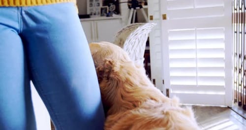Woman Pets Dog in Cozy Indoor Home