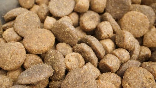 Pile of Assorted Dry Pet Food Close Up