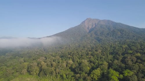 Tropical Landscape Rainforest and Mountains