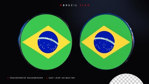 3D Spinning Brazil Flag Coin
