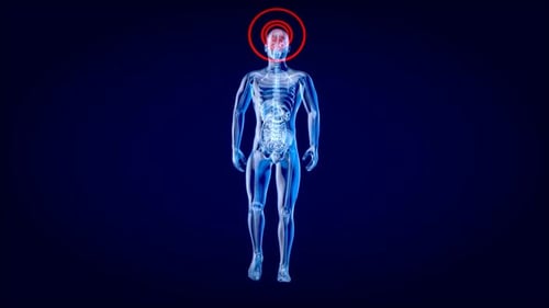4K Anatomy concept of a Xray man walking