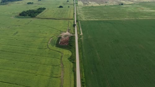 Asphalt Road Through Green Summer Field