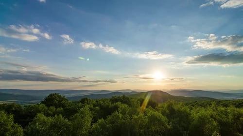 Sunrise over Forest Landscape