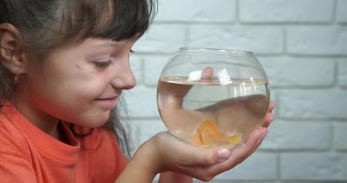 Girl Looking at Fish in a Fish Bowl