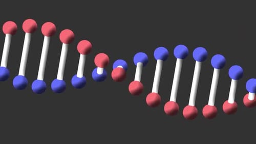 Animation d'un ADN numérique à double hélice rouge, bleu et blanc en 3D