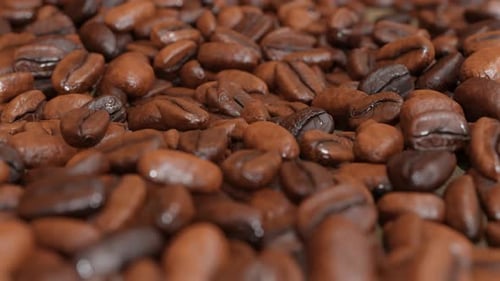 Seamless Loop of Rotating Roasted Coffee Beans