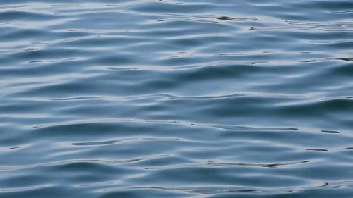 Blue sea ripple waves running on water surface