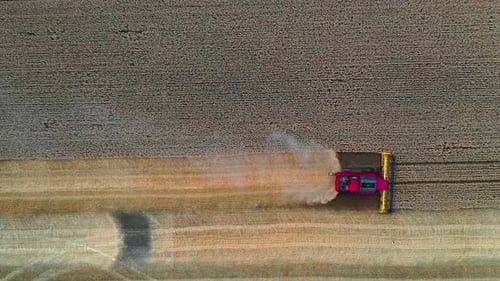 Vue aérienne de la moissonneuse-batteuse travaillant sur le grand champ de blé. Matériel de récolte de céréales sur le terrain