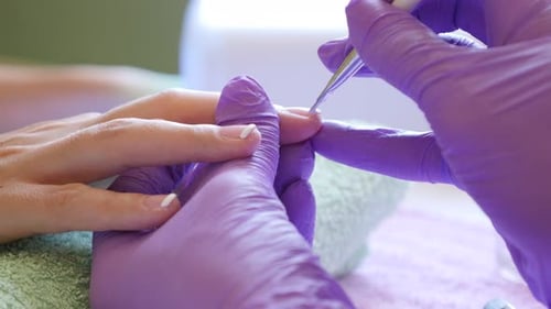 Manicurist Applies Nail Polish for Beauty Treatment