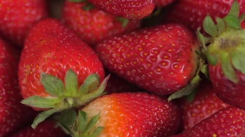 Gros plan de fraises Spinning 03
