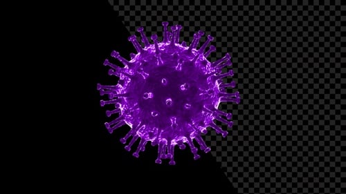 3D Rotating Purple Virus Cell Medical Animation
