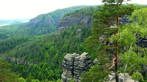 Rocks and Cliffs in a Vast Forest - Top View
