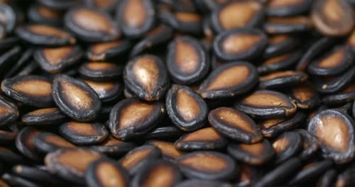 Black watermelon seed