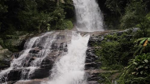 Waterfall in Green Forest