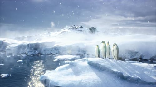 Realistic Antarctica Landscape with Penguins and Falling Snow
