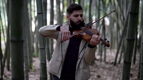 Portrait of a Street Musician Violinist Playing in a Bamboo Grove on a Classical Instrument Violin