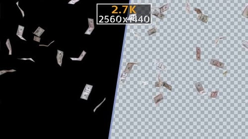 Dollars Rain (2.7K)
