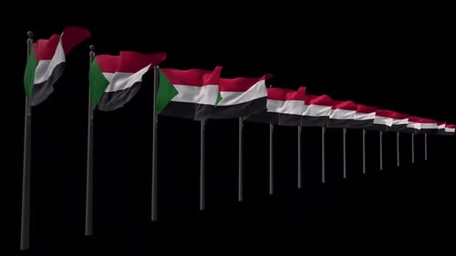 Sudan National Flag Waving in Realistic Animation
