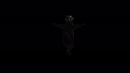 Dancing Black Panther Roaring 3D Animation Loop