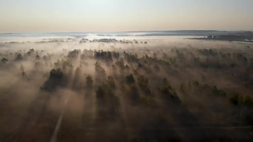 Epic aerial view of sunrise fog covering field with trees.