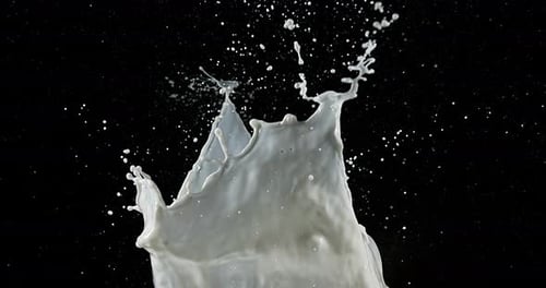 Exploding Milk against Black Background, slow motion 4K