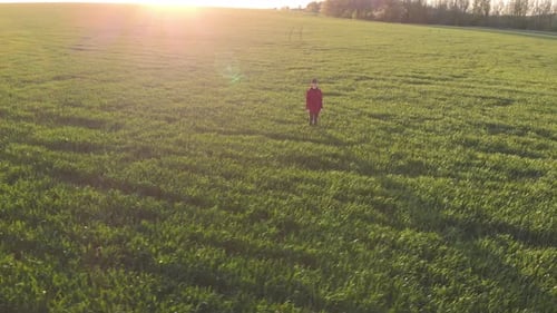 Aerial View Farmer Girl Walking Beside Green Field at Sunset Time, Female Farmer in Plaid Shirt